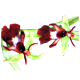 Flowers-orchidej-053